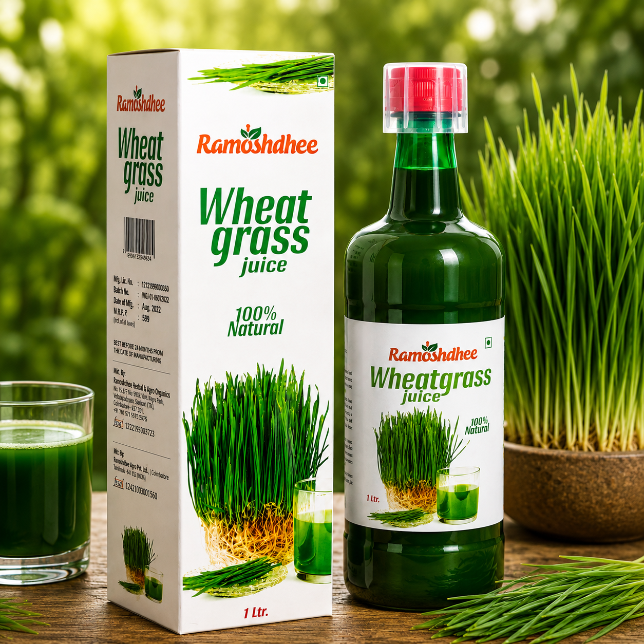 Ramoshdhee Wheat Grass Juice | Immunity Booster
