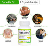 Ramoshdhee Garcinia Combogia Weight Loss Dietary Supplement | 60 Capsules