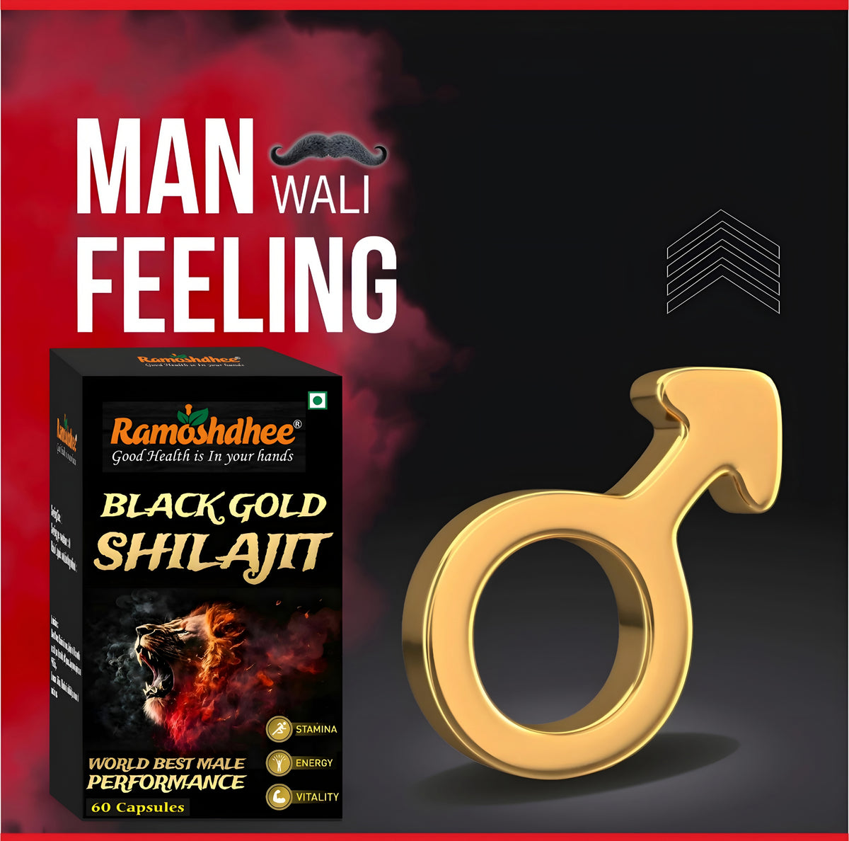 Black Gold Shilajit 60 Capsules|Bost Stemina In 2 Days|Enhance Strength & Immunity